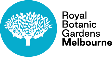 6347a16f700592ca5b11d8b9_RBGM LOGO